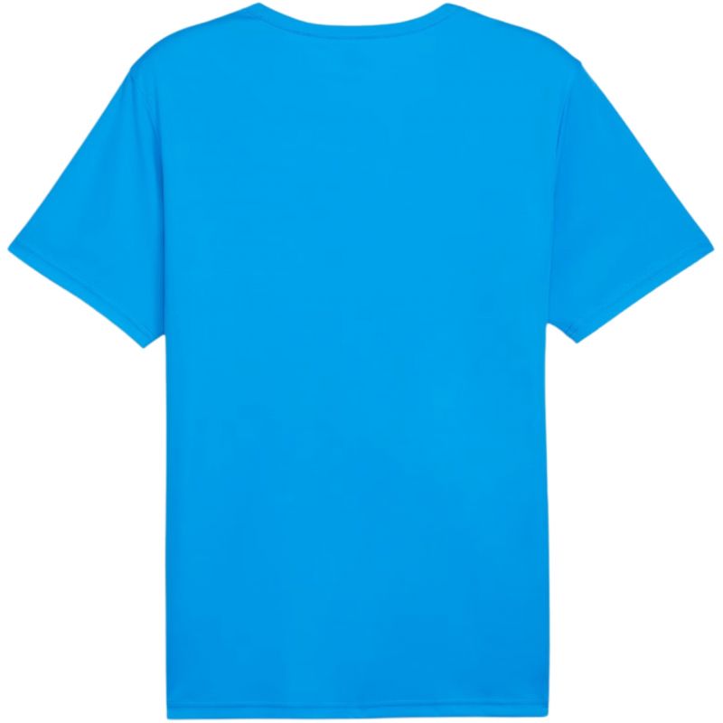 Puma teamRISE Matchday Jersey M 706132 02 Clothing/Football Puma