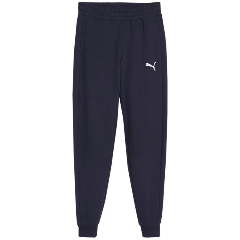 Puma Team Goal Jr pants 658601 06 Clothing/Training Puma