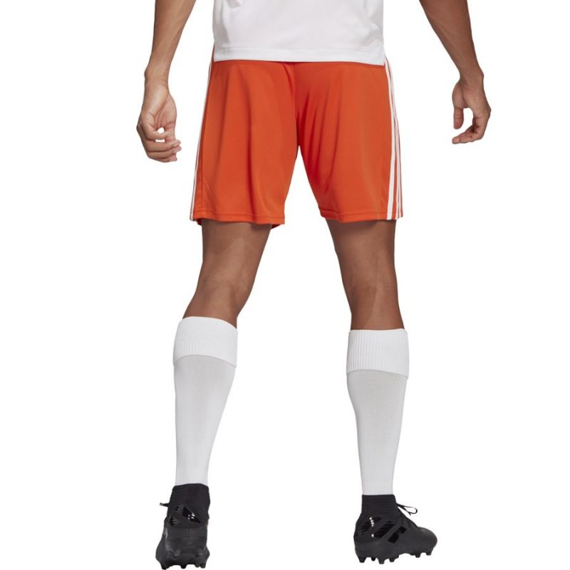 Adidas Squadra 21 Short M GN8084 Clothing/Football Adidas