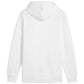 Puma Ess+ Logo LAB Gradient Hoodie FL M 681775 02 Clothing/Lifestyle Puma