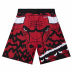 Mitchell & Ness NBA Chicago Bulls Jumbotron 2.0 Sublimated Shorts Obuwie/Buty na co dzień Your Sports Performance