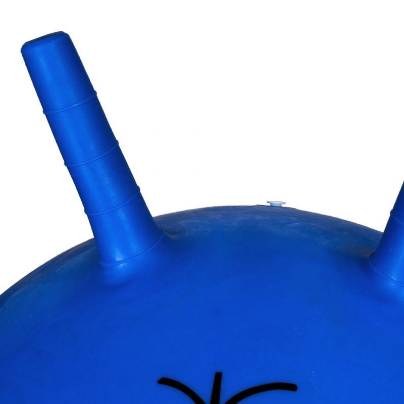 Jumping ball 45cm PROFIT DK2103 Accessories/Training equipment Your Sports Performance