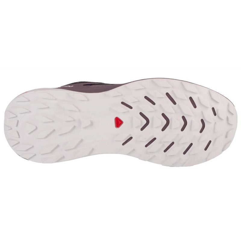 Salomon Ultra Flow GTX W 474743 Running Shoes Footwear/Running/Women Your Sports Performance