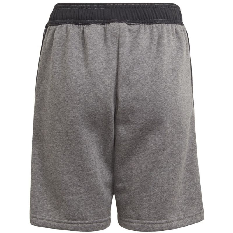Adidas Tiro 21 Sweat Short Jr GP8806 Clothing/Football Adidas