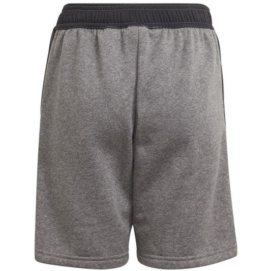 Adidas Tiro 21 Sweat Short Jr GP8806 Clothing/Football Adidas
