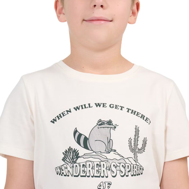 Boy's T-shirt 4F M2815 off-white 4FJWSS26TTSHM2815 11S