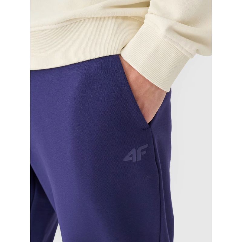 Men's jogger sweatpants 4F 4FWMM00TTROM1139-31S 4f