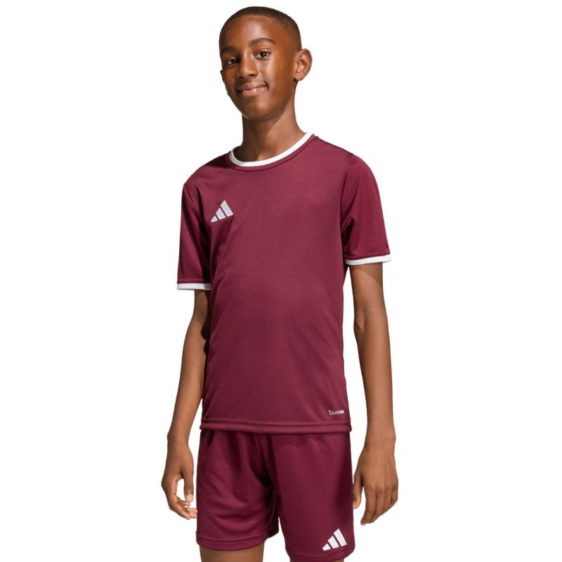 adidas Entrada 26 Jersey burgundy kids' T-shirt JZ2530