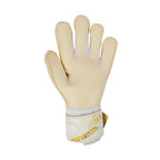 Reusch Attrakt AB1 Duo goalkeeper gloves white 5670001 1130