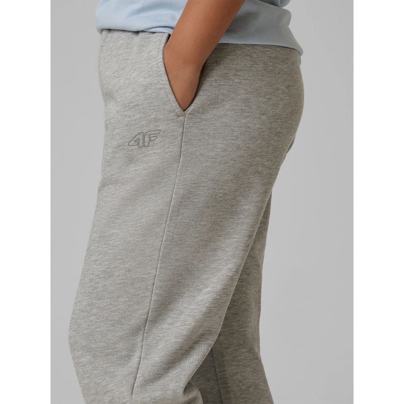Boys' jogger sweatpants 4F 4FJRMM00TTROM1823-25M 4f