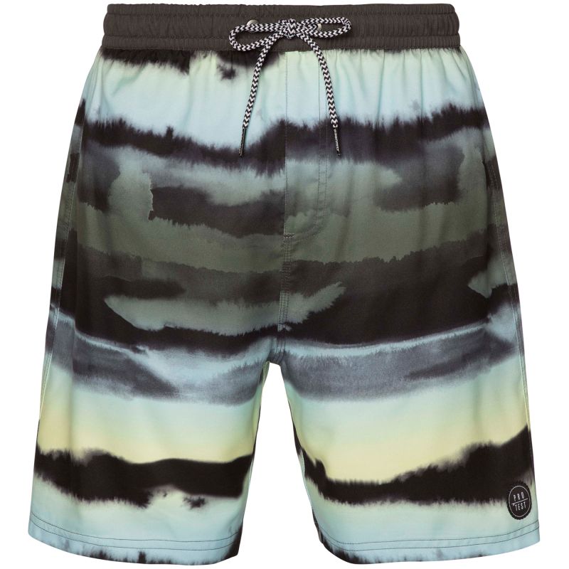 Men’s PROTEST TROY beach shorts