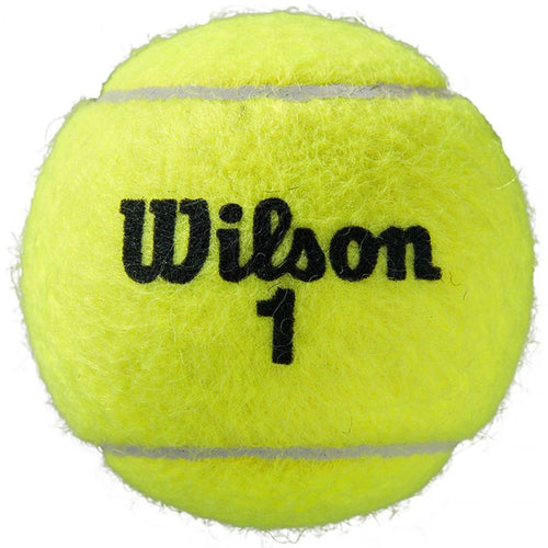 Wilson Roland Garros All Court tennis balls, 3 pcs WRT126400 Accessories/Balls/Tennis Your Sports Performance
