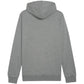 Puma Team Goal Casuals Hoody M 658618 33 Clothing/Training Puma
