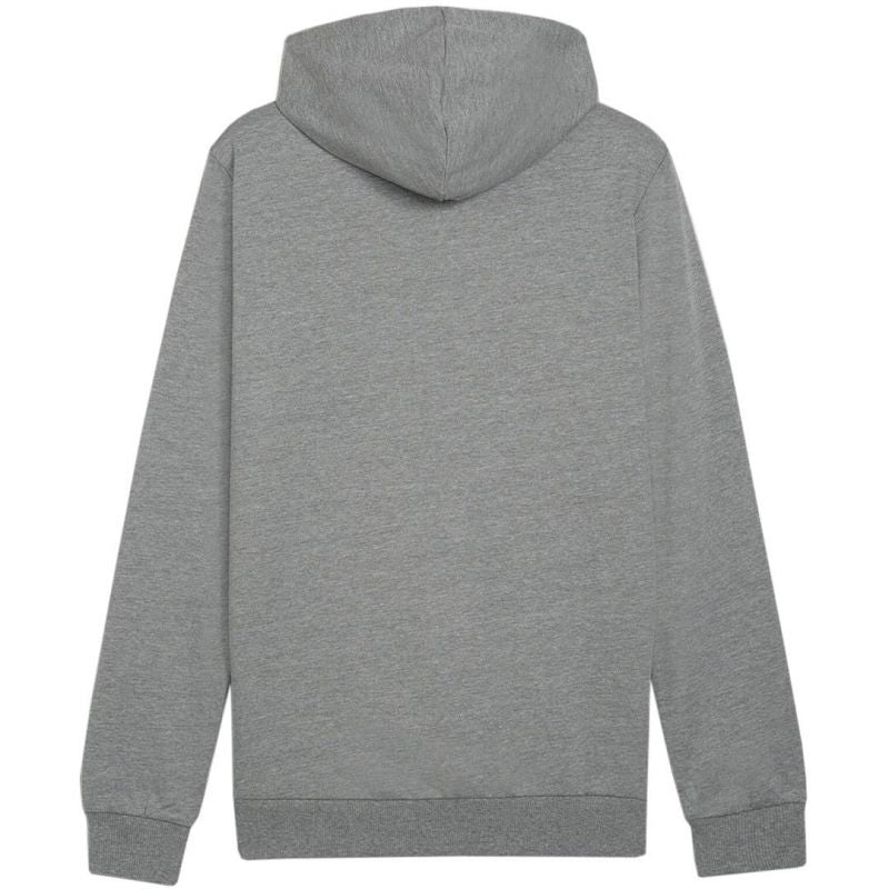 Puma Team Goal Casuals Hoody M 658618 33 Clothing/Training Puma