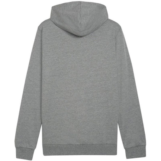 Puma Team Goal Casuals Hoody M 658618 33 Clothing/Training Puma