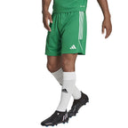 Shorts adidas Tiro 23 League M IB8087 Clothing/Football Adidas