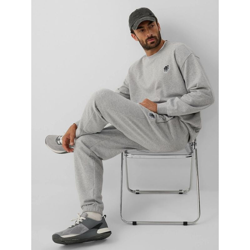 Men's jogger sweatpants 4F 4FRAW26TTROM2176-27M