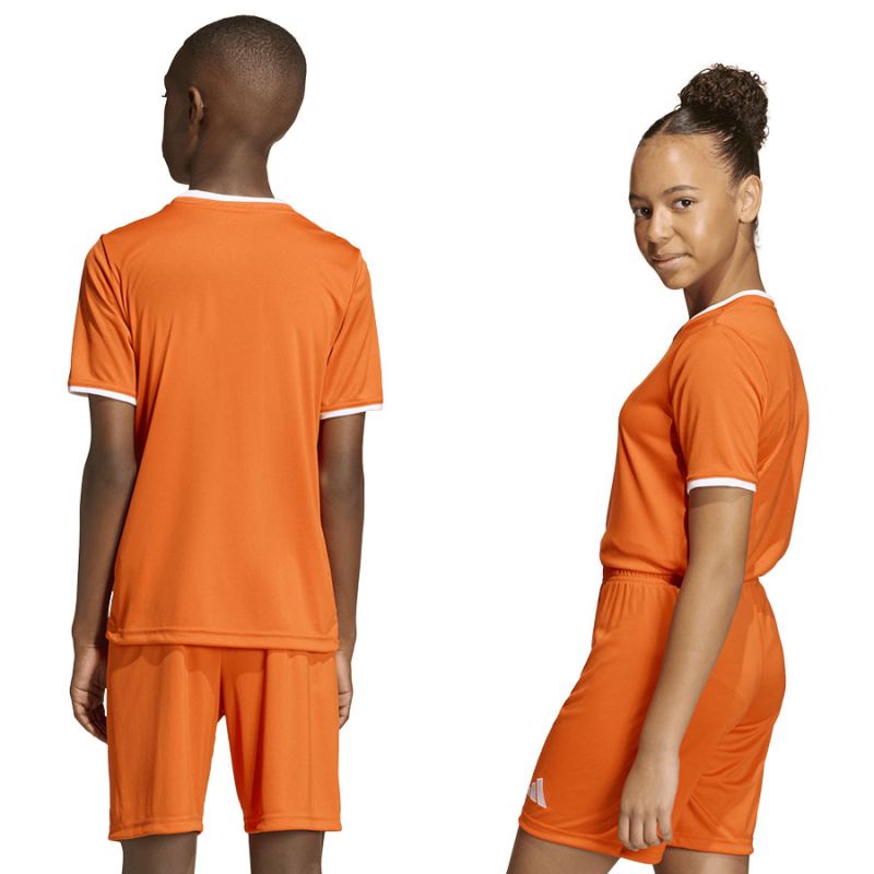 adidas Entrada 26 JSY JZ2526 T-shirt adidas