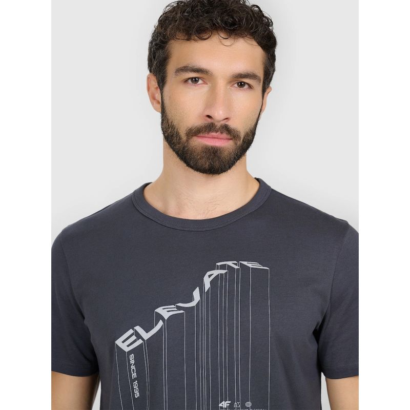 Men's regular printed T-shirt 4F 4FRAW25TTSHM3845-22S 4f