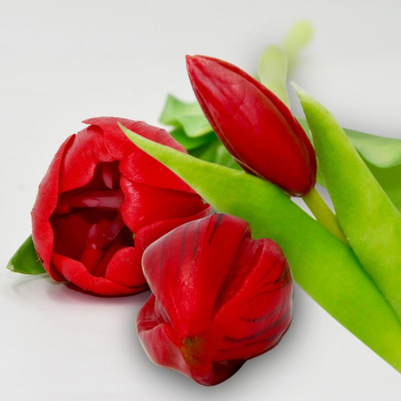 BOUQUET OF 7 RED TULIPS 31 CM LIKE LIFE SPRING DECORATION Home and Garden/Equipment Your Sports Performance