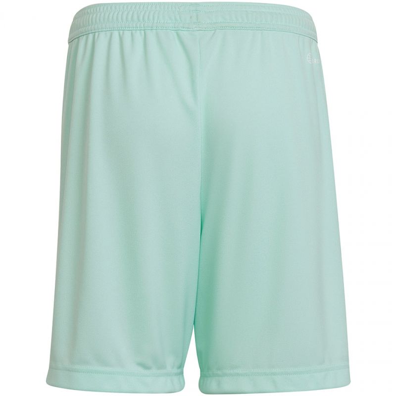 Adidas Entrada 22 Jr HC5058 shorts Clothing/Football Adidas