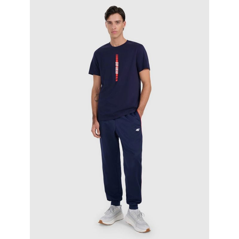 Men's regular printed T-shirt 4F 4FRAW25TTSHM3225-31S 4f