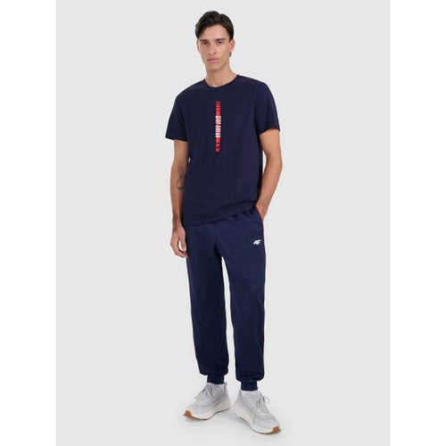 Men's regular printed T-shirt 4F 4FRAW25TTSHM3225-31S 4f