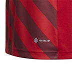 Adidas Entrada 22 Graphic Jersey Jr.H58983 Clothing/Football Adidas