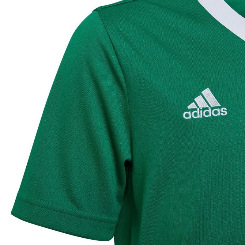 T-shirt adidas Entrada 22 Jersey Jr HI2126 Clothing/Training Adidas