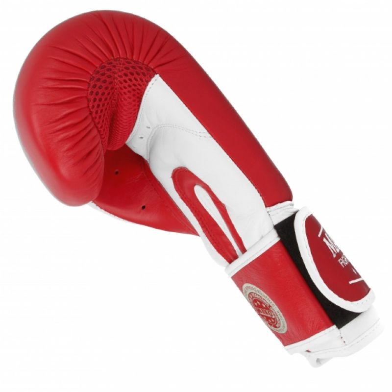 Leather boxing gloves MASTERS RBT-TRW 01210-02 Accessories/Gloves Your Sports Performance