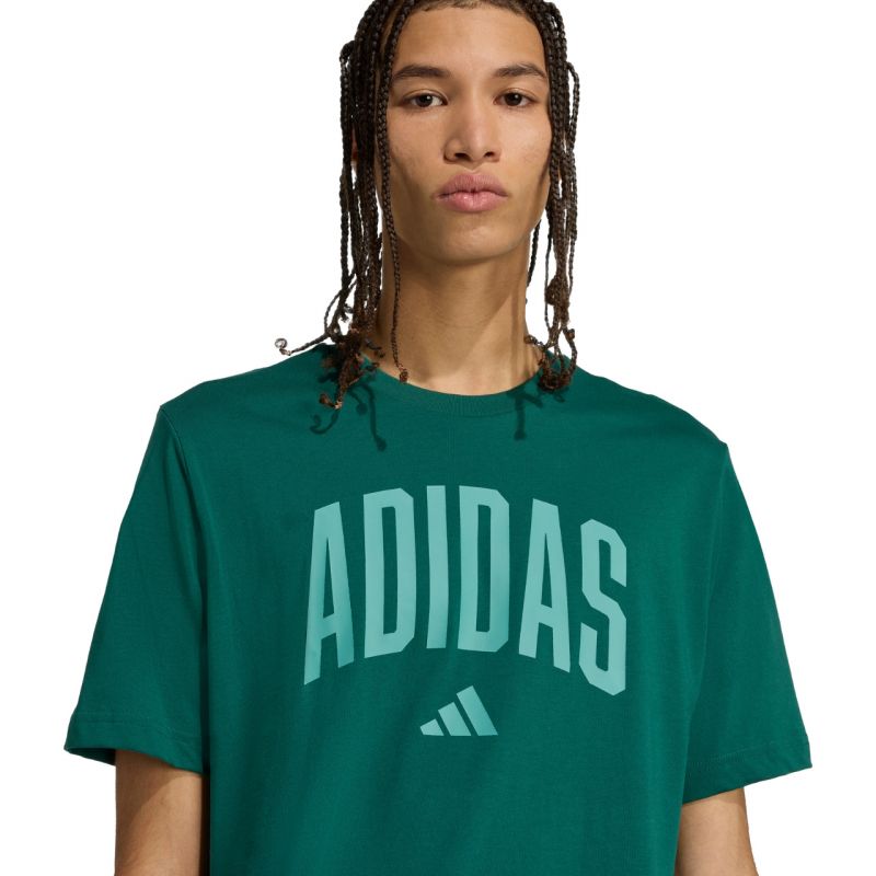 T-shirt adidas Collegiate Lineage Graphic M KA7135 Clothing/Lifestyle/T-shirts Adidas
