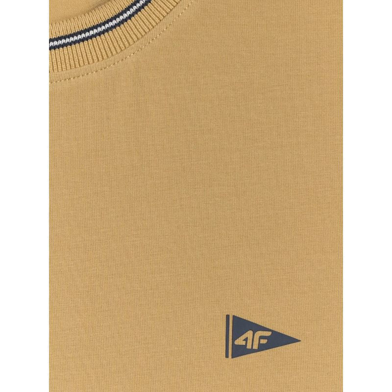 Men's regular plain T-shirt 4F 4FRSS26TTSHM3997-83S