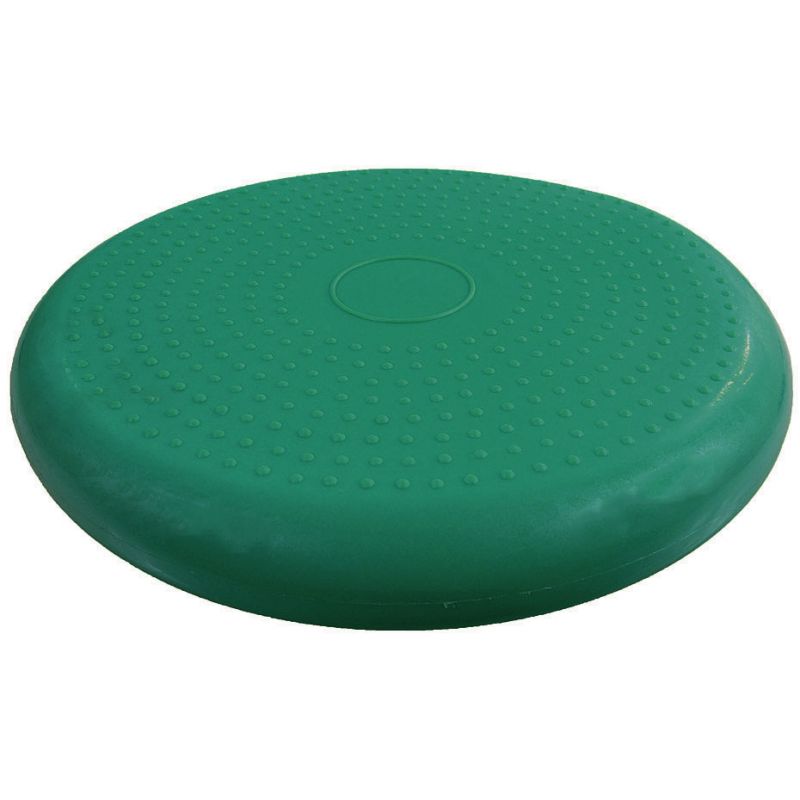 Inflatable disk PROFIT DK 2111 Accessories/Training equipment Your Sports Performance