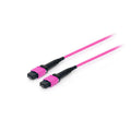 Equip MTP->MTP patch cable 3.00m multimode OM4 purple Kable, gniazda i wtyki/Patchcable Your Sports Performance