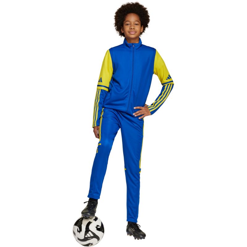 Adidas Squadra 25 Training Jr JP3150 sweatshirt Clothing/Football Adidas