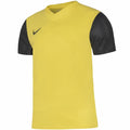 Nike Dri-Fit Tiempo Premier 2 Jr T-shirt DH8389-719 Clothing/Football Nike