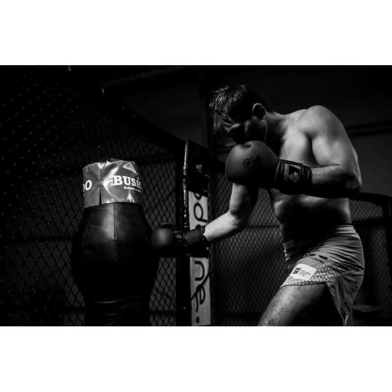 10oz Boxing Gloves - Black Master - Valor Series rękawice treningowe Your Sports Performance