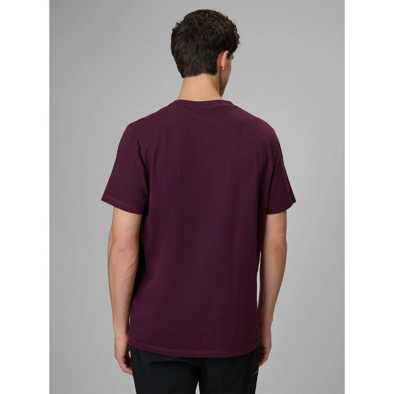 Men's regular printed T-shirt 4F 4FRSS26TTSHM3810-50S 4f