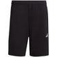 adidas Train Essentials All Set Training M IB8161 shorts Clothing/Training Adidas