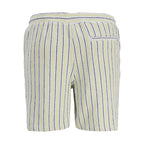Jack&Jones men's striped shorts JPSTJAIDEN COBA STRIPE JOG SHORTS REG SN 12274413 TEA/STRIPES Jack&Jones