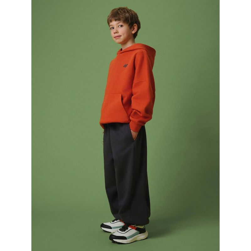 Boys' jogger sweatpants 4F 4FJRSS26TTROM1896-22S
