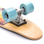 Meteor Summer Sunset 24287 skateboard Accessories/Skating Your Sports Performance