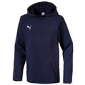 Sweatshirt Puma Jr 655636 06 Clothing/Training Puma