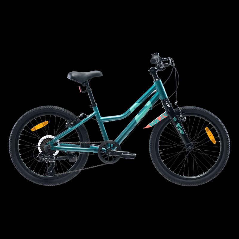 Children's Bike Radvik Viking 20 92800597756 Accessories/Bicycle/Rowery/Vaast Your Sports Performance