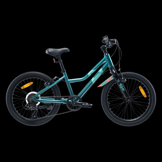 Children's Bike Radvik Viking 20 92800597756 Accessories/Bicycle/Rowery/Vaast Your Sports Performance