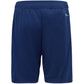 Shorts adidas Tiro 23 League Training Jr HS0321 Clothing/Football Adidas