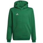 Sweatshirt adidas Entrada 22 Hoody Y Jr HI2143 Clothing/Training Adidas