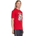 adidas FC Bayern Munich Seasonal Graphic Men's T-Shirt Red KG2586