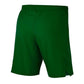 Nike Laser Woven IV Short M AJ1245-302 football shorts Clothing/Football Nike