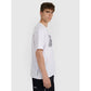Men's regular printed T-shirt 4F 4FRAW25TTSHM3259-10S 4f